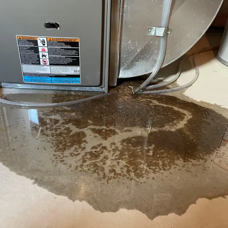 Appliance Leak Cleanup in Premont, TX